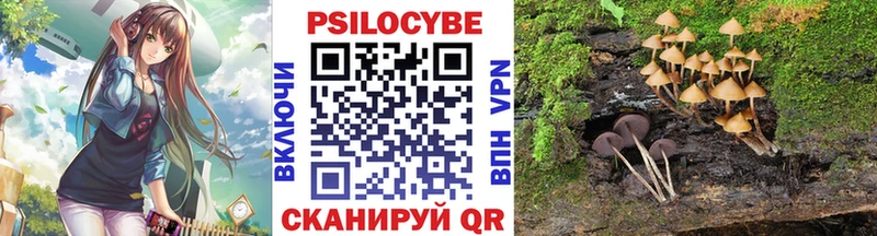 Галлюциногенные грибы мицелий  Дмитриев 